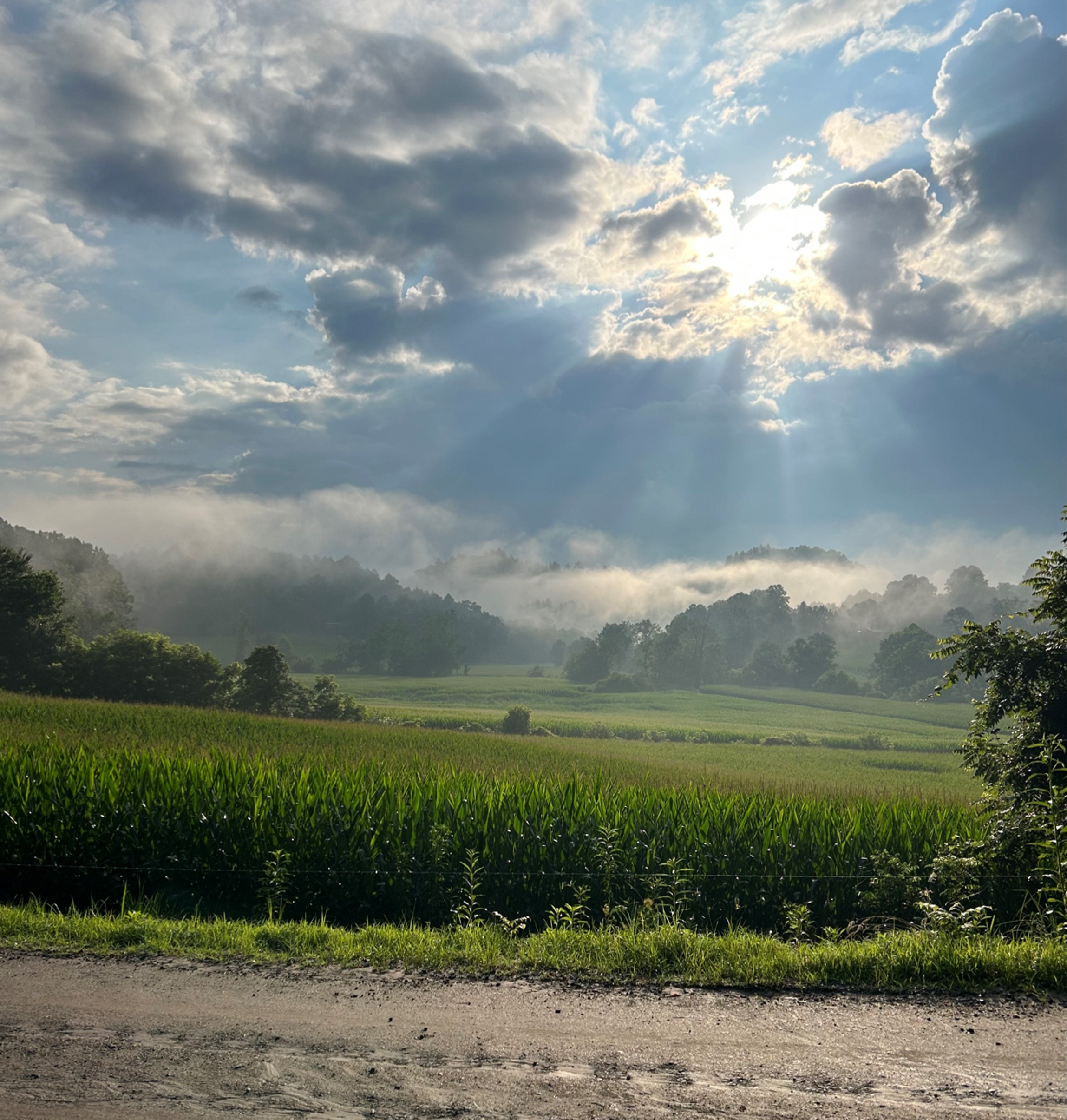 Sunrise in the valley